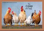 The Coop Files