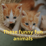 "The Fun and Amusing World of Cute Animals"