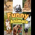 FUNNY ANIMAL MOMENTS😂