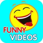 Funny videos