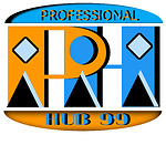 Professionalhub99