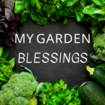 My Garden Blessings