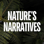 Nature's Narratives 4K