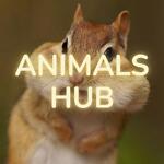Animals Hub