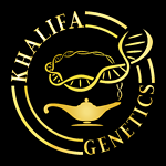 Khalifa Genetics