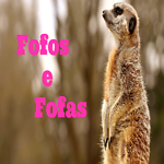 Fofos e Fofas