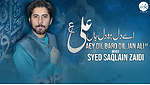 SaqlainZaidiOfficial