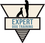 Expert Dog Training