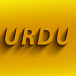 Mastering Urdu Through English