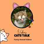 When Cats Talk