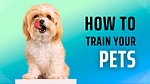 Train the different pets you love