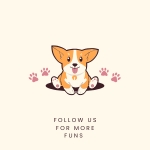 FunnnnyPets