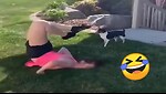 Try Not To Laugh Funny Videos - Funny Moments Of The Year Compilation  😂😁😆 Memes