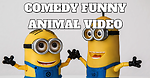 Comedy funny video kids