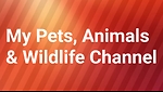 Welcome to My Pets, Animals and Wildlife Channel