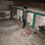 Zeyan Hassan Vlogs