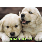 Dog Health & Happiness