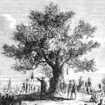 Friends and Fellow Citizens