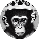 King7Monkey