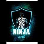 NINJA GAMING 990