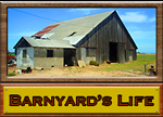 BarnYard's Life