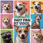 PetmomentsTV 🐶🐱
