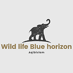 Wild Blue Horizons: Discovering Wildlife and Sea Treasures