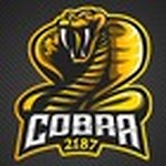 Cobra2187-Video Gamer