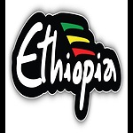 Ethio360Media