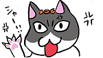 Neko KumichoChannel