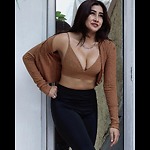 Ai Girlfriend