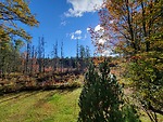 Gardening in New Hampshire