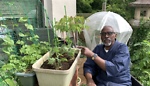 The Kamakura Gardener