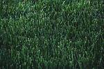 Tree + Landscaping Services Kinnelon, New Jersey 07405