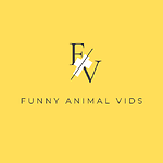 Funny Animal Video