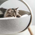 Pet Paradise