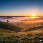 Calm Horizons