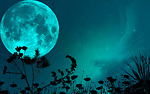 ARTHSH