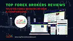 Top Forex Brokers Review