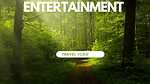 Entertainment & Information video