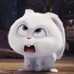 Funny Bunny