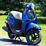 The Bush Gardener Channel