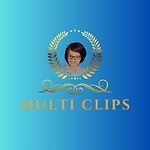 Multi Clips