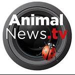 Animals News