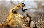 animals