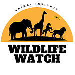 Wildlife Watch