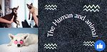 The Human and animallife