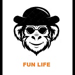 Fun in your life