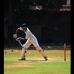 cricket match