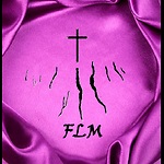 Finger Lakes Ministries